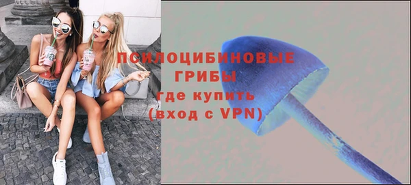 гидропоника Гусь-Хрустальный