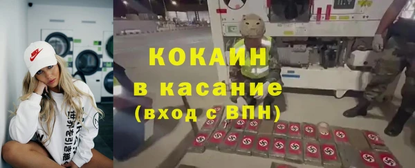 индика Гусиноозёрск