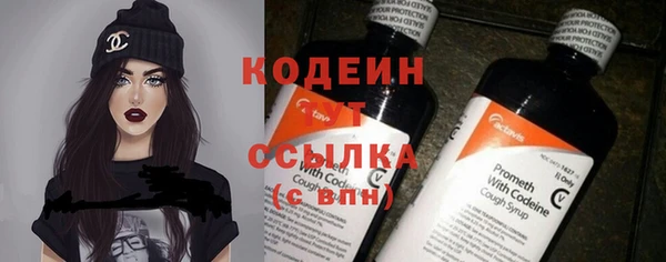индика Гусиноозёрск