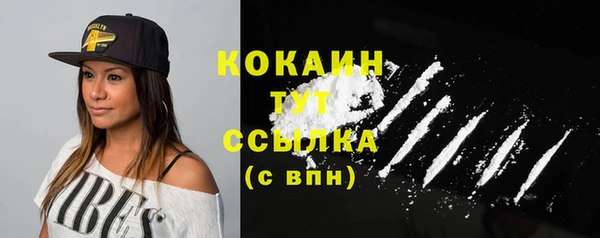 гидропоника Гусь-Хрустальный