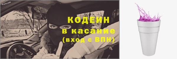 индика Гусиноозёрск