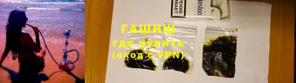 индика Гусиноозёрск