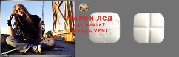 индика Гусиноозёрск