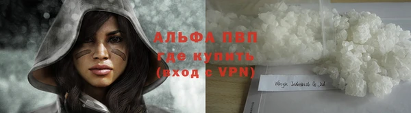 индика Гусиноозёрск