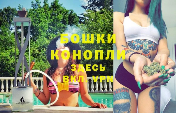 гидропоника Гусь-Хрустальный