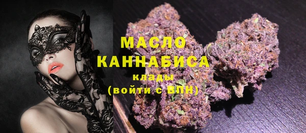 индика Гусиноозёрск