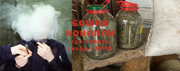 индика Гусиноозёрск