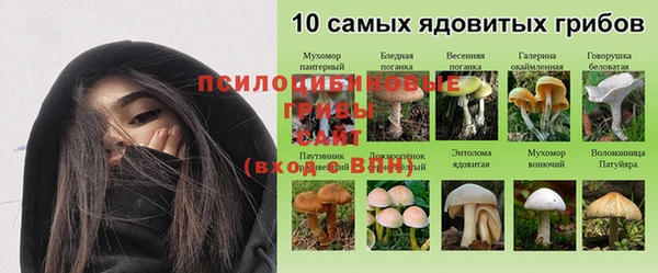 индика Гусиноозёрск