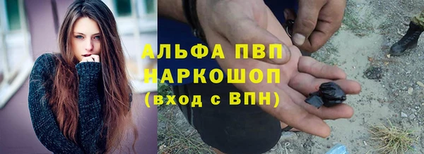 индика Гусиноозёрск
