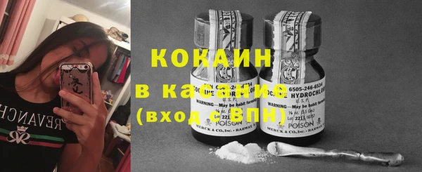 индика Гусиноозёрск