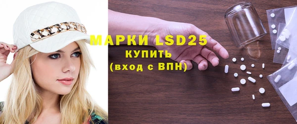 индика Гусиноозёрск