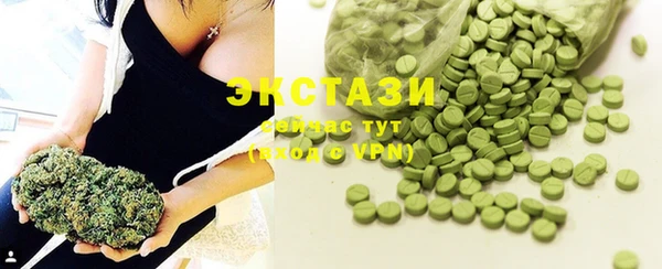 индика Гусиноозёрск